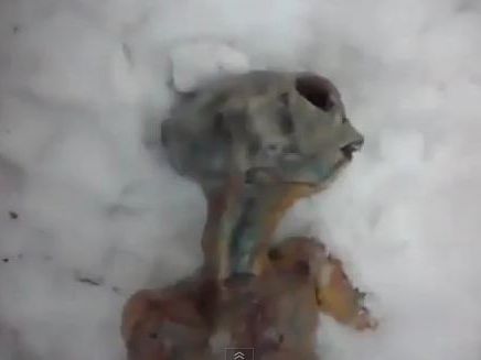 Velon — Subject AX-7741